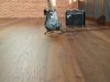 Discover the Latest Modern Flooring Styles with Free Flooring Samples