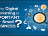 Leveraging Success: 5 Key Reasons Digital Marketing is Important for Every Business