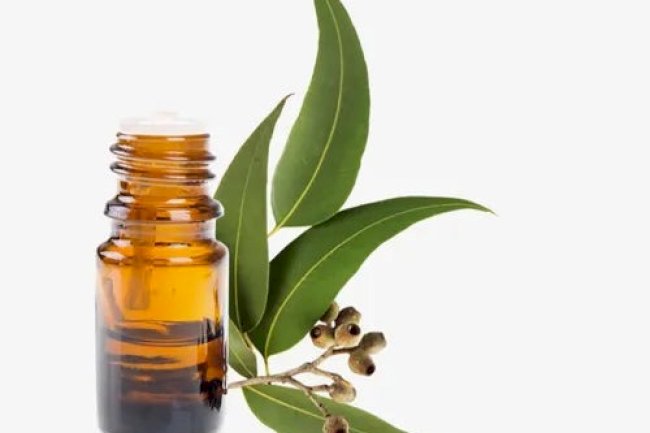 Nature’s Pharmacy: Discover the Best Natural Skincare & Aromatherapy Products Store in India