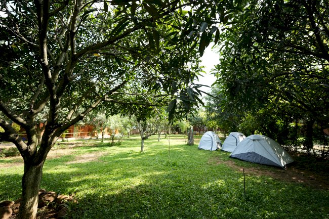 When Life Gives You Mangoes, Head to Suggee Resort