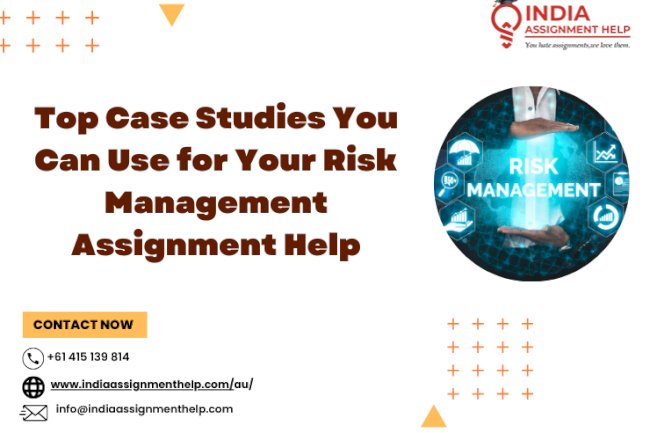 Top Case Studies You Can Use for Your Risk Management Assignment Help