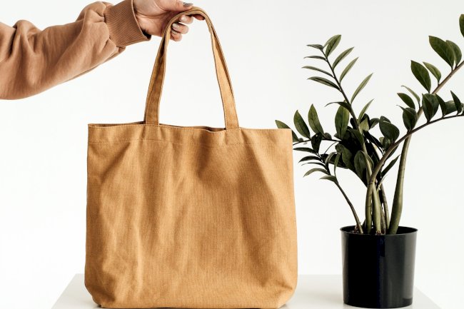 The Future of Sustainable Packaging: Recyclable, Eco-Friendly, and Innovative Solutions