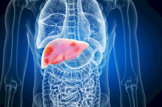 Comprehensive Liver Health Checkups by a Best Liver Doctor in Dubai