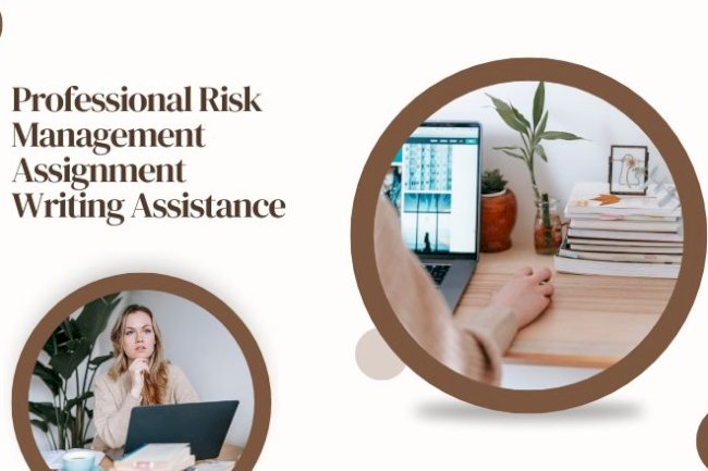 Professional Risk Management Assignment Writing Assistance