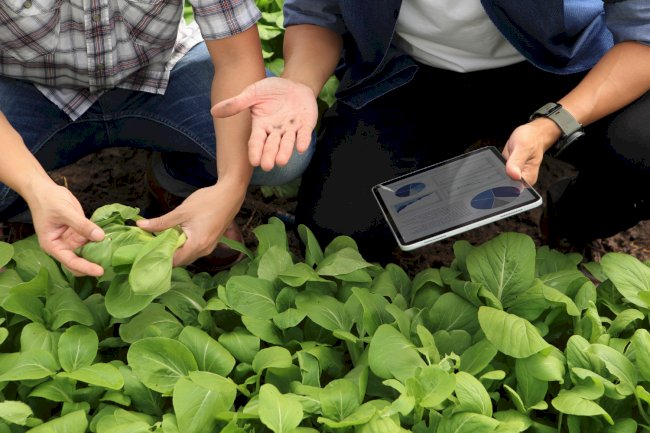 Boost Efficiency with TopGreen: The Power of Crew Performance Insights Software