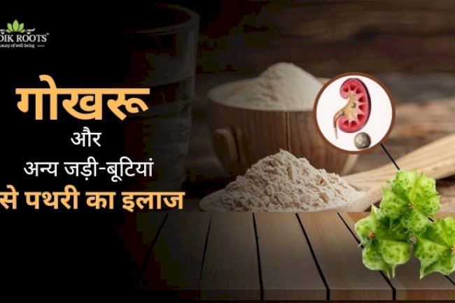 गोखरू और अन्य जड़ी-बूटियां से पथरी का इलाज 