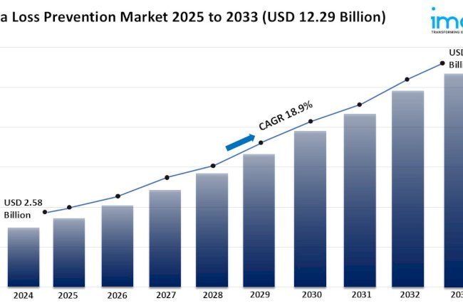Data Loss Prevention Market Report 2025 | Size, Growth & Forecast by 2033
