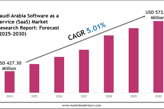 Saudi Arabia Software as a Service (SaaS) Market Analysis, Outlook & Growth Rate 2030