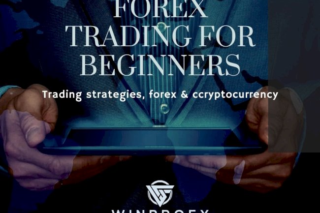 Forex Trading for Beginners: Stepwise Market Entry