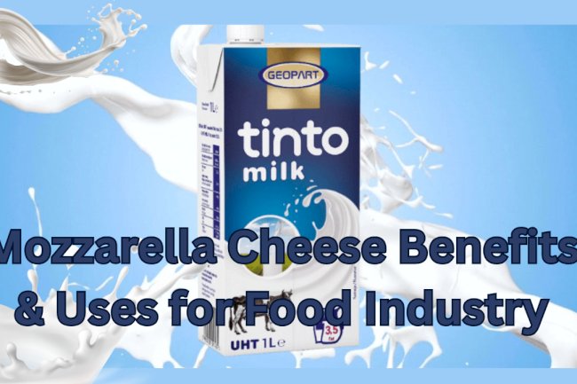 Global-Grade UHT Milk – Premium Long-Shelf Life DairyProduct