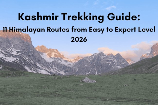 11 Kashmir Treks That Rewrote My Understanding of Mountain Adventures