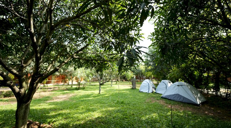 When Life Gives You Mangoes, Head to Suggee Resort
