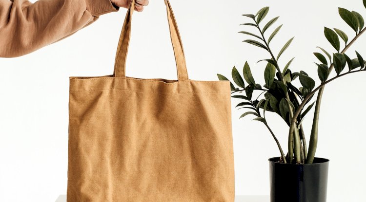 The Future of Sustainable Packaging: Recyclable, Eco-Friendly, and Innovative Solutions