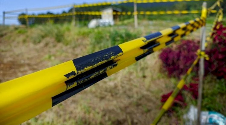 The Future of Accuracy: 3D Property Surveys and Land Surveying Services