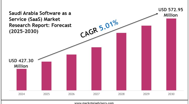Saudi Arabia Software as a Service (SaaS) Market Analysis, Outlook & Growth Rate 2030