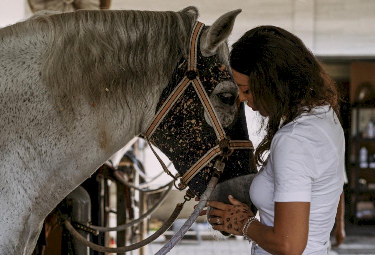 Healthy Hooves, Happy Horse: Understanding Hoof Supplements