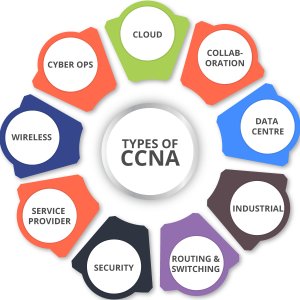 Elevate Your IT Career with CCNA Certification in Dubai