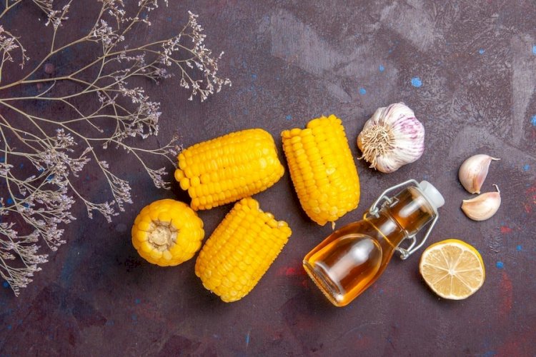 Prefeasibility Report on a Corn Oil Manufacturing Plant Setup Project by IMARC Group