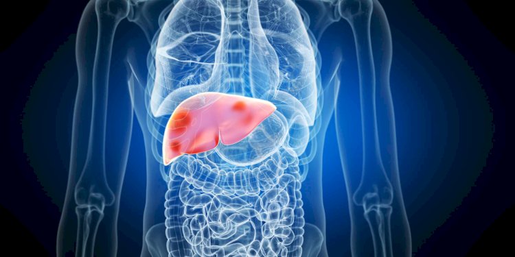 Comprehensive Liver Health Checkups by a Best Liver Doctor in Dubai