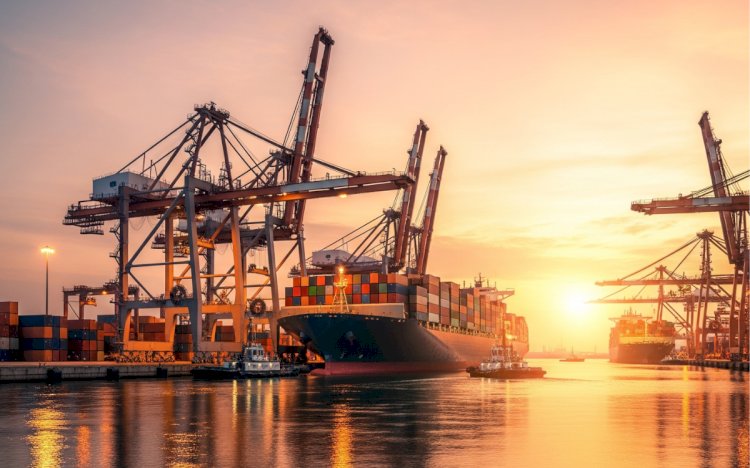 5 Ways UAE Businesses Can Simplify Vehicle Import and Customs Clearance