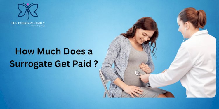 How Much Does a Surrogate Get Paid?