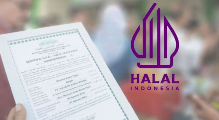 Halal certification in USA: Steps for Product Approval
