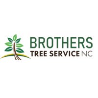 Brothers Tree Service